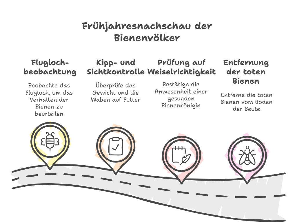 Visualisierte zu machende Schritte für die Frühjahresnachschau