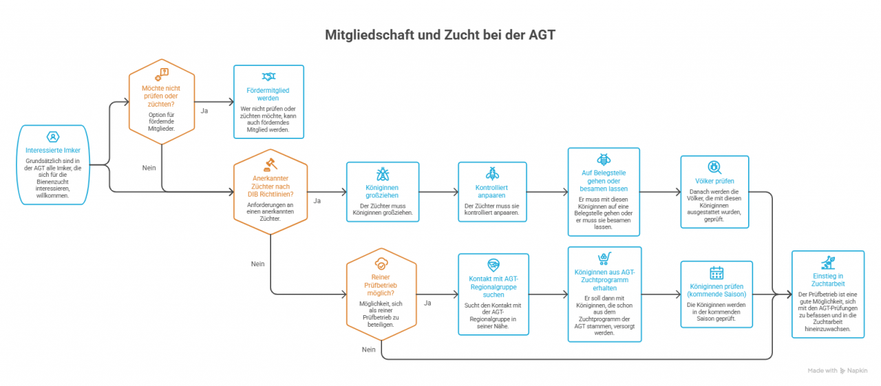 Ein Verlaufsdiagramm, welches drei Wege aufweist, wie die AG Toleranzzucht gefördert werden kann: als aktives oder passives Mitglied oder aber als Prüfbetrieb.
