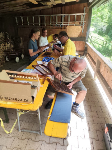 Varroatoleranz bis 2033 gelingt nur, wenn alle Mitmachen, auch wir Hobbyimker
