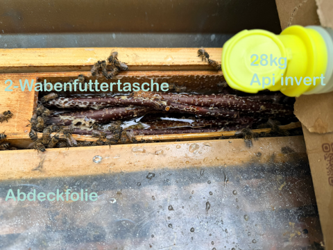 Vorsichtiges Einfüttern ist angesagt