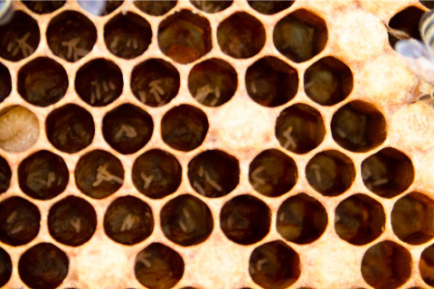 Frühjahresnachschau - Mehr Zeit für Überraschungen