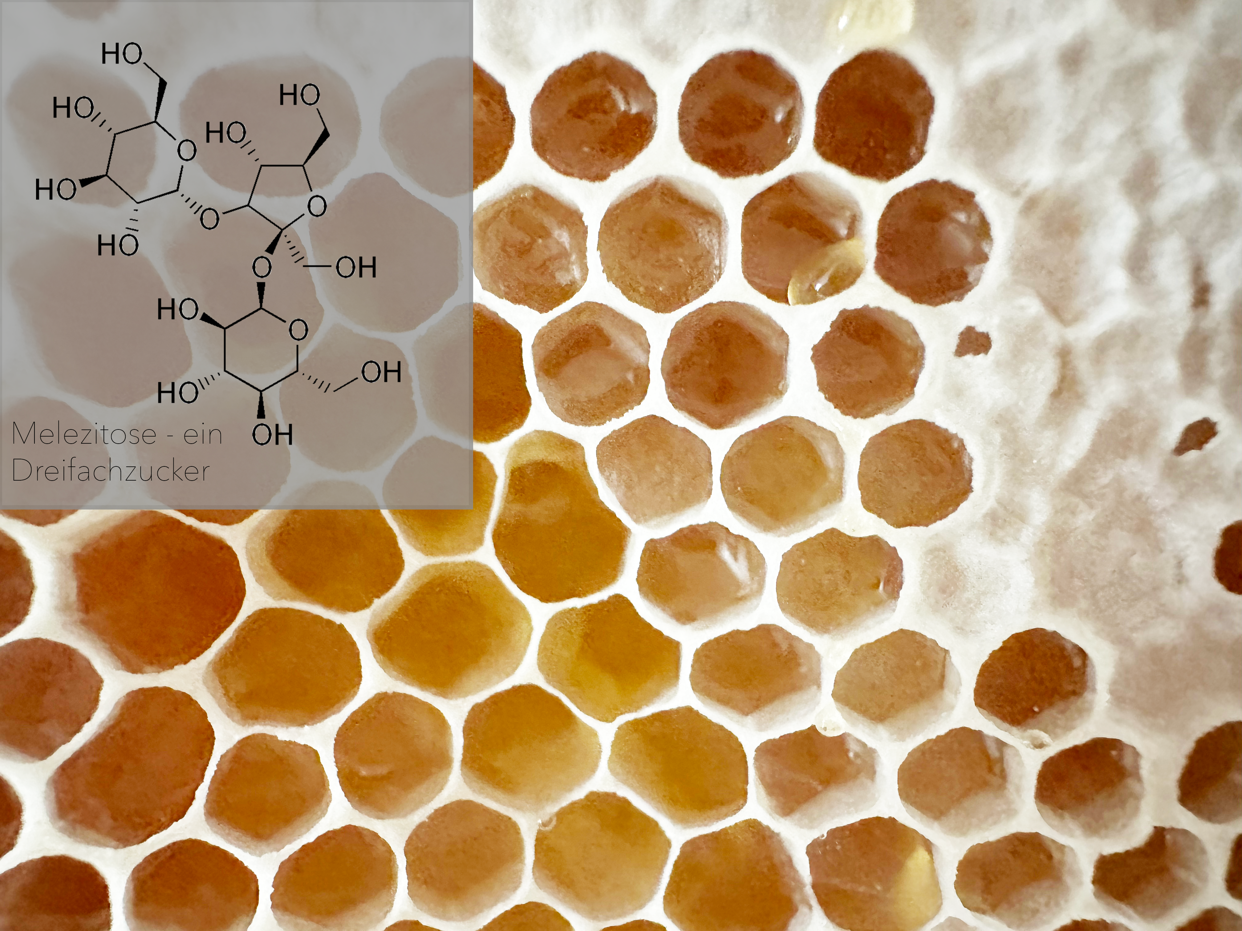 Melezitose - Wabe und Strukturformel