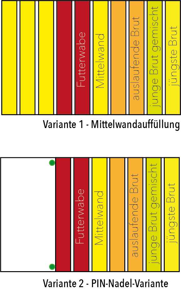 Brutwabenablegerbildung - Schema